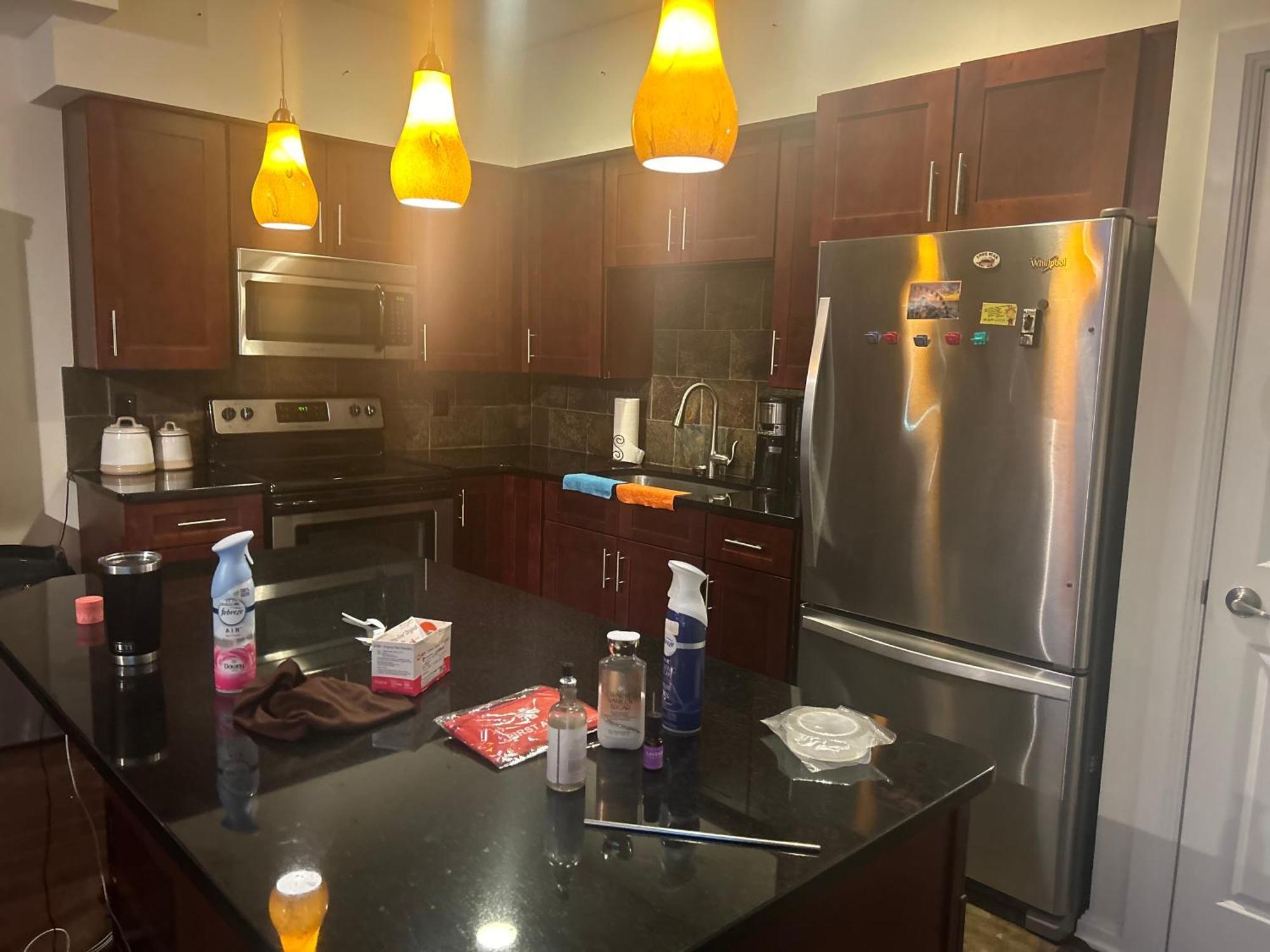 Bed And Breakfast In The Lake View Penthouse Клівленд Екстер'єр фото